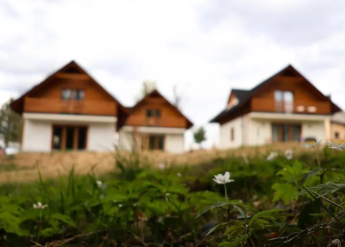 Holiday home Lesne Chatki - Jodla *