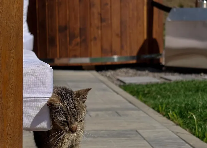 Lesne Chatki - Jodla בית נופש *